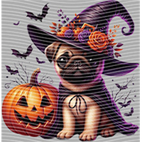 Halloween-WS 5818
